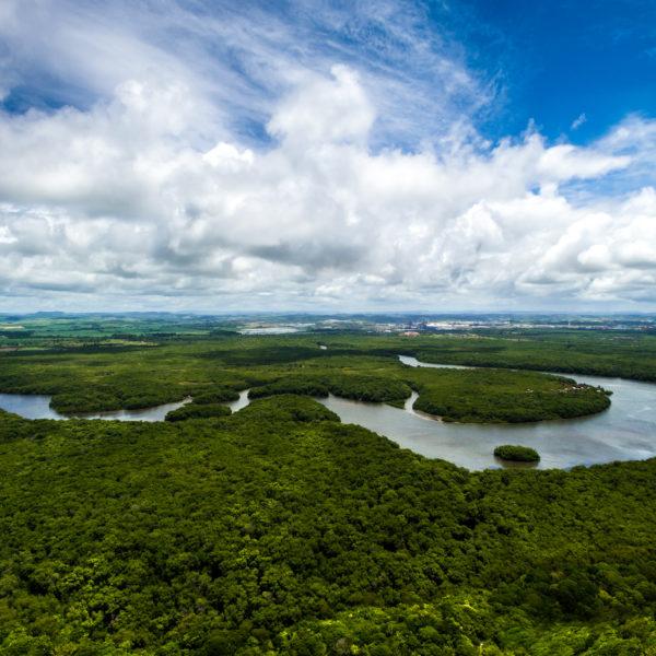 Aerial view of Amazonian rain forest